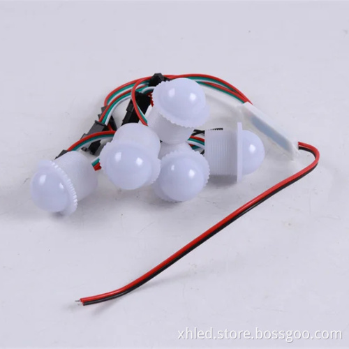 RGB DC12V Auto-Program LED Pixel IP67 DMX512 Color Point Light for Outdoor Amusement Park Lighting